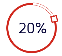 20%
