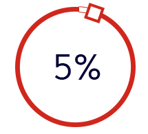 5%